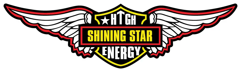 SSP_2020_Logo_wings